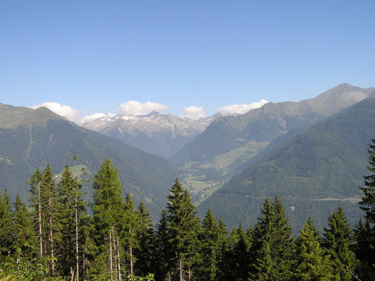 Von der Forststraße ein Blick in die Ankogelgruppe.